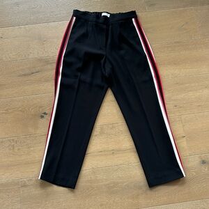 Aritzia Babaton Cohen Pant - size 6